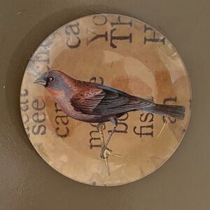 John Derian decoupage bird plate
